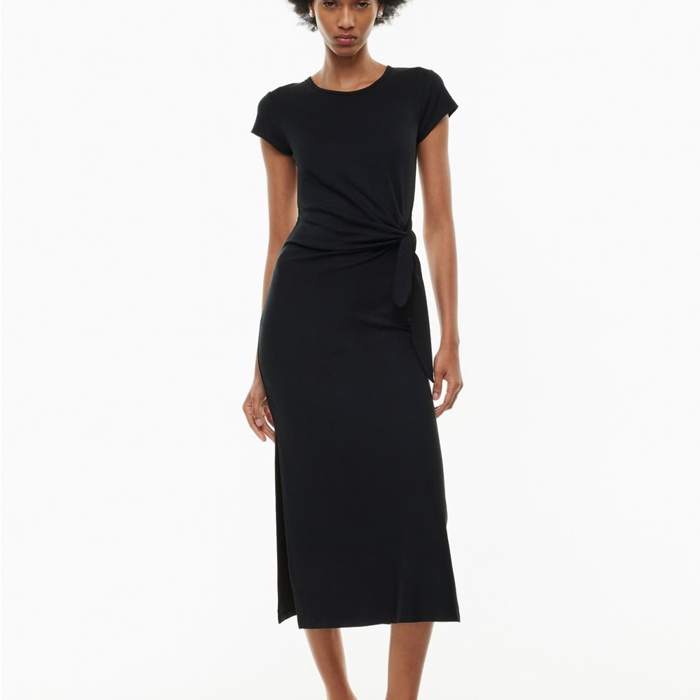 Aritzia Wilfred Fortune Maxi Dress
